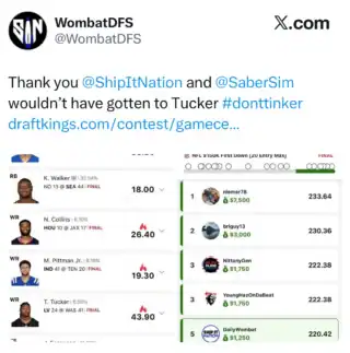 DailyWombat $1,250 NFL DFS win screenshot