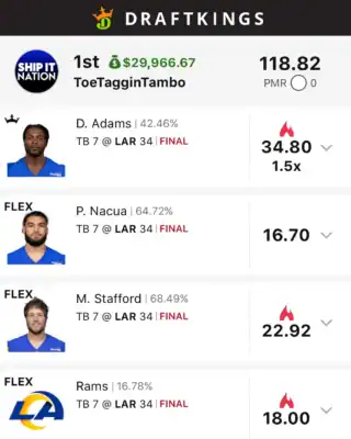 ToeTagginTambo $29,966.67 NFL DFS win screenshot