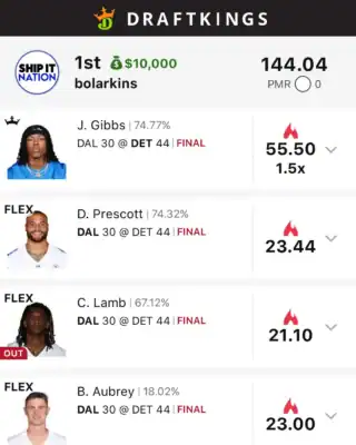 bolarkins $10,000 NFL DFS win screenshot