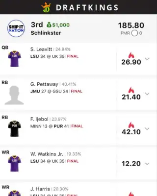 Schlinkster $1,000 CFB DFS win screenshot